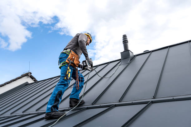Best Roof Waterproofing  in Whitehall, MI